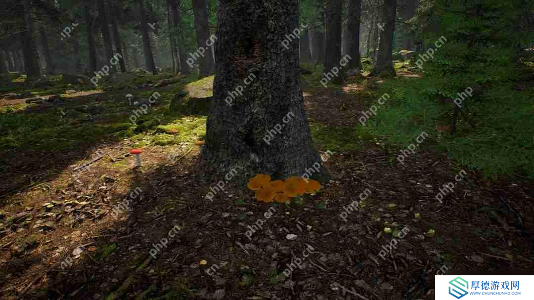 采蘑菇模拟游戏《蘑菇猎人模拟器》上架Steam Q3发售