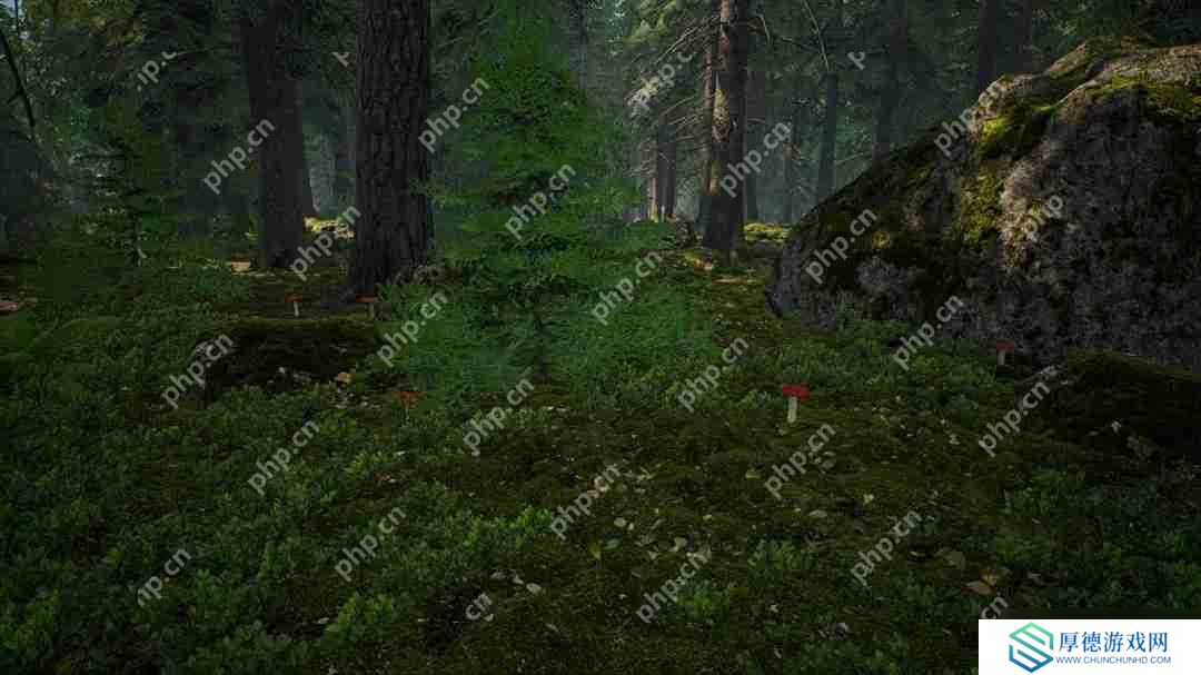 采蘑菇模拟游戏《蘑菇猎人模拟器》上架Steam Q3发售