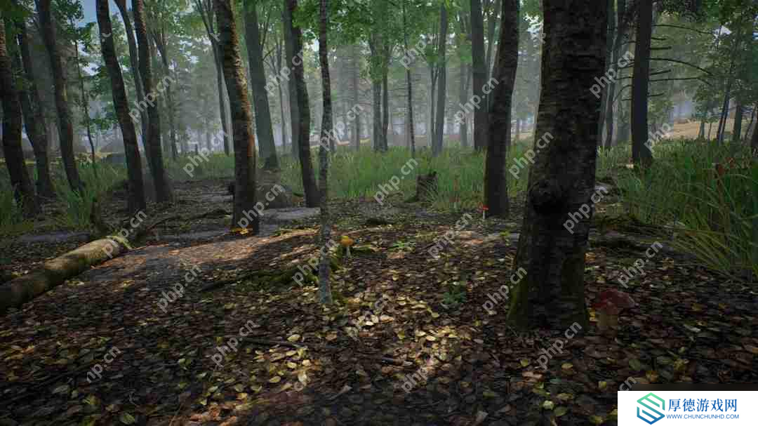 采蘑菇模拟游戏《蘑菇猎人模拟器》上架Steam Q3发售