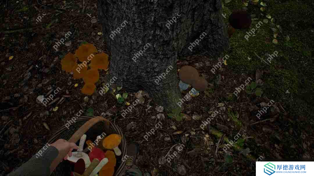 采蘑菇模拟游戏《蘑菇猎人模拟器》上架Steam Q3发售
