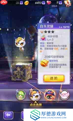 天天酷跑3D白玉灵猫怎么样 白玉灵猫实用性评测[多图]