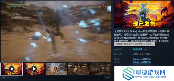 劲! 霸! 爽! 国产ACT独立游戏《灵拳》Steam特别好评